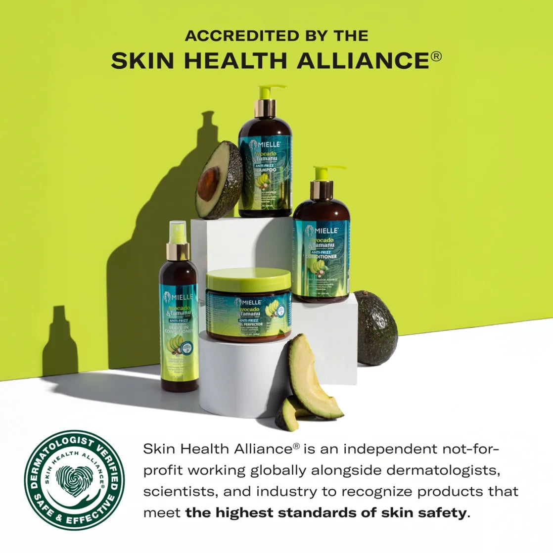 Mielle Avocado and Tamanu Anti-Frizz Shampoo 12 Fl Oz
