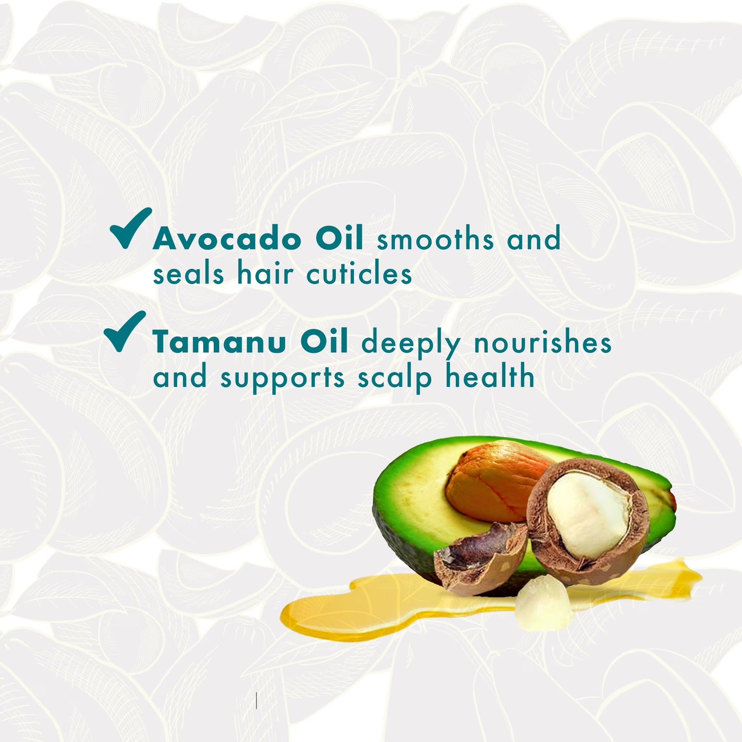 Mielle Avocado and Tamanu Anti-Frizz Shampoo 12 Fl Oz