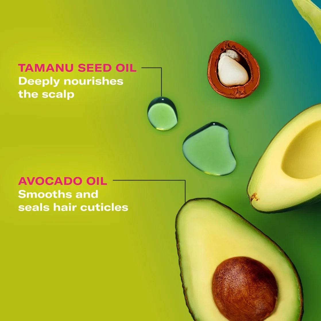 Mielle Avocado and Tamanu Anti-Frizz Shampoo 12 Fl Oz