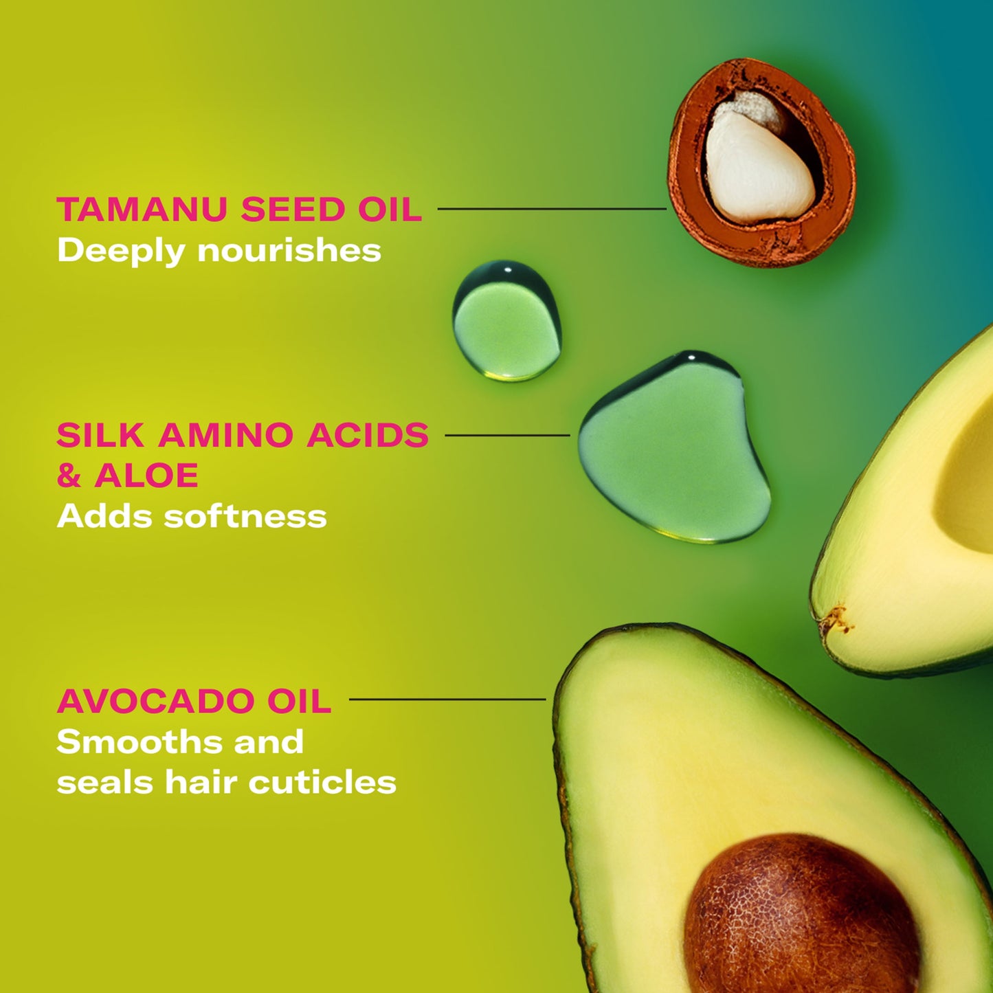 Mielle Avocado and Tamanu Anti-Frizz Mousse 7.5 Fl. Oz.