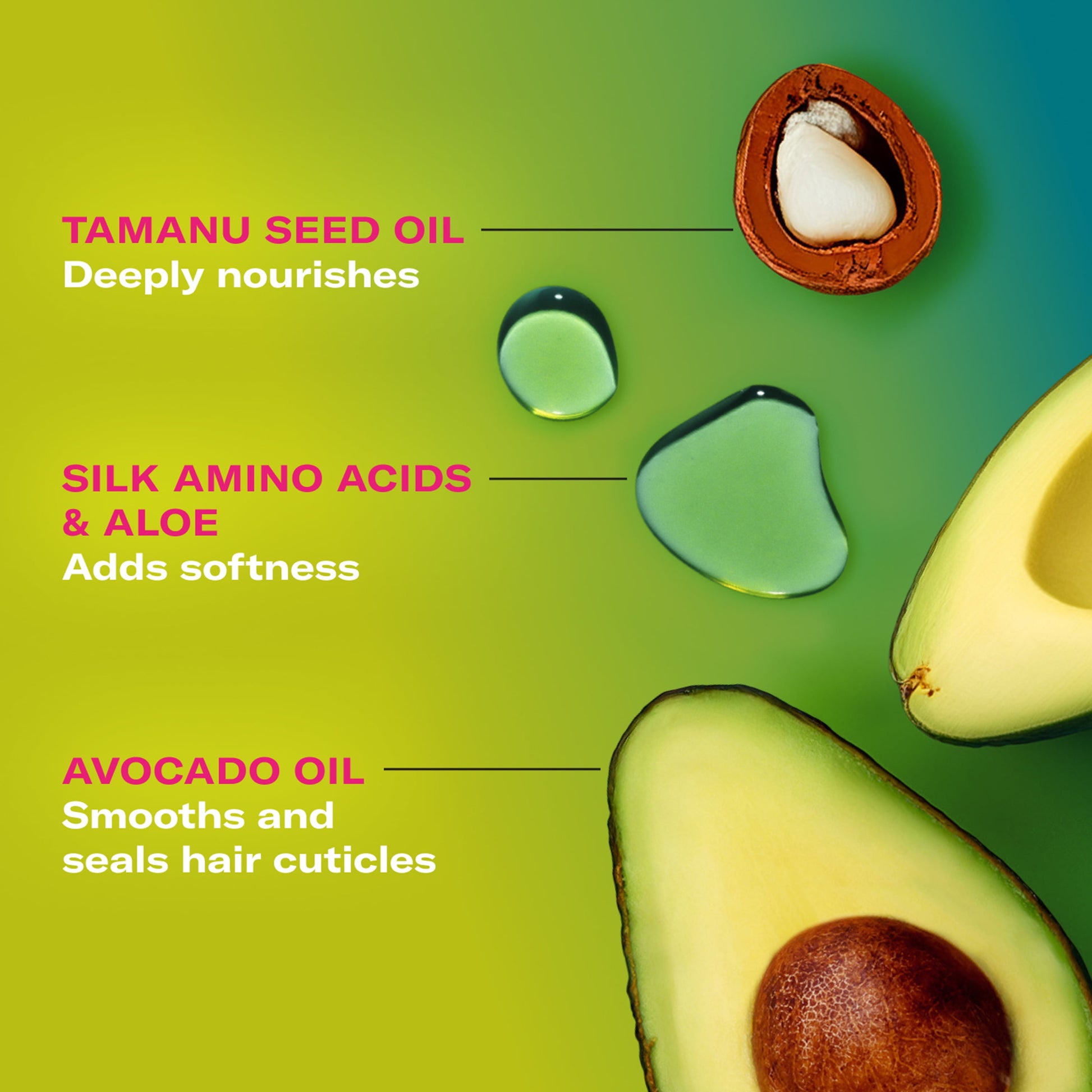 Mielle Avocado and Tamanu Anti-Frizz Mousse 7.5 Fl. Oz.